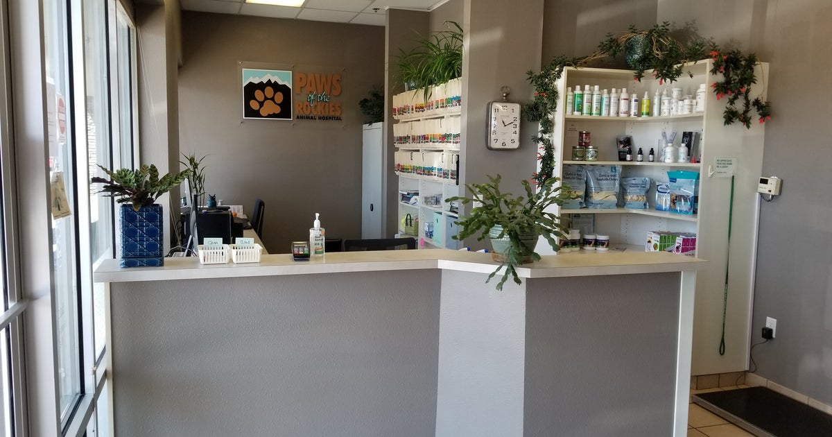 Office Tour | Paws of the Rockies Animal Hospital Office Tour | Paws of the Rockies Animal Hospital